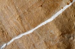 Arte rupestre - Rock art