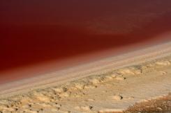 Composiciones - Composition