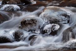 Composiciones - Composition