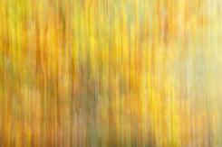 Composiciones - Composition