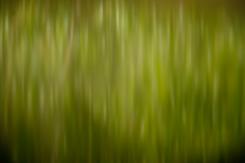 Composiciones - Composition