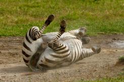 Nakuru