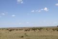 Es la esencia del Masai Mara