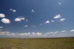 Masai Mara