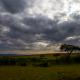 Descripción: Un ocaso en el P.N. de Masai Mara
