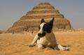 La Pirámide escalonada de Saqqara