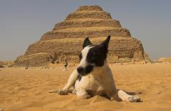 Egipto