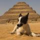 Descripción: La Pirámide escalonada de Saqqara