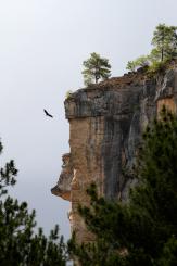 Alto Tajo