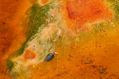 Río Tinto - River Tinto