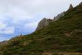 Imagen 14 de la galería de Picos de Europa