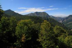 Picos de Europa
