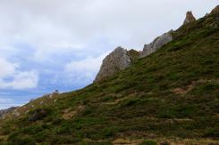 Picos de Europa